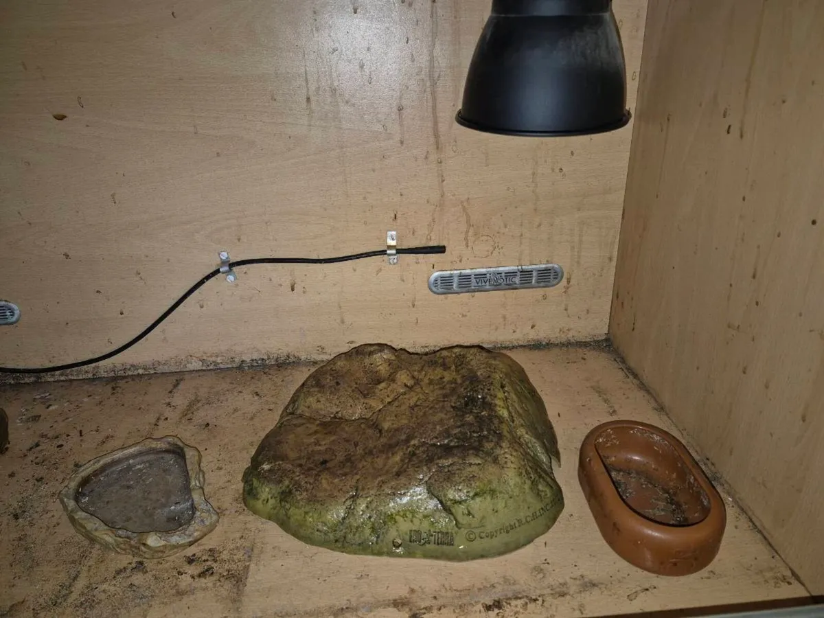 Lizard/tortoise tank - Image 3