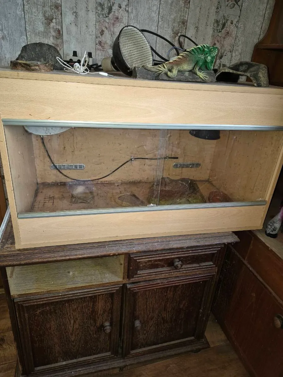 Lizard/tortoise tank - Image 1