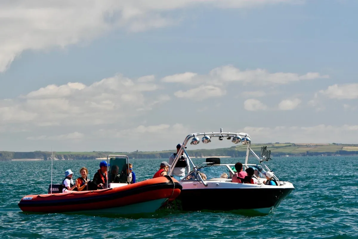 185 XT - Image 4