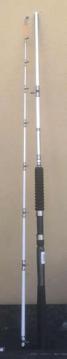 Daiwa Accudepth trolling  rod 2.4m  IGFA 12-25lb - Image 1