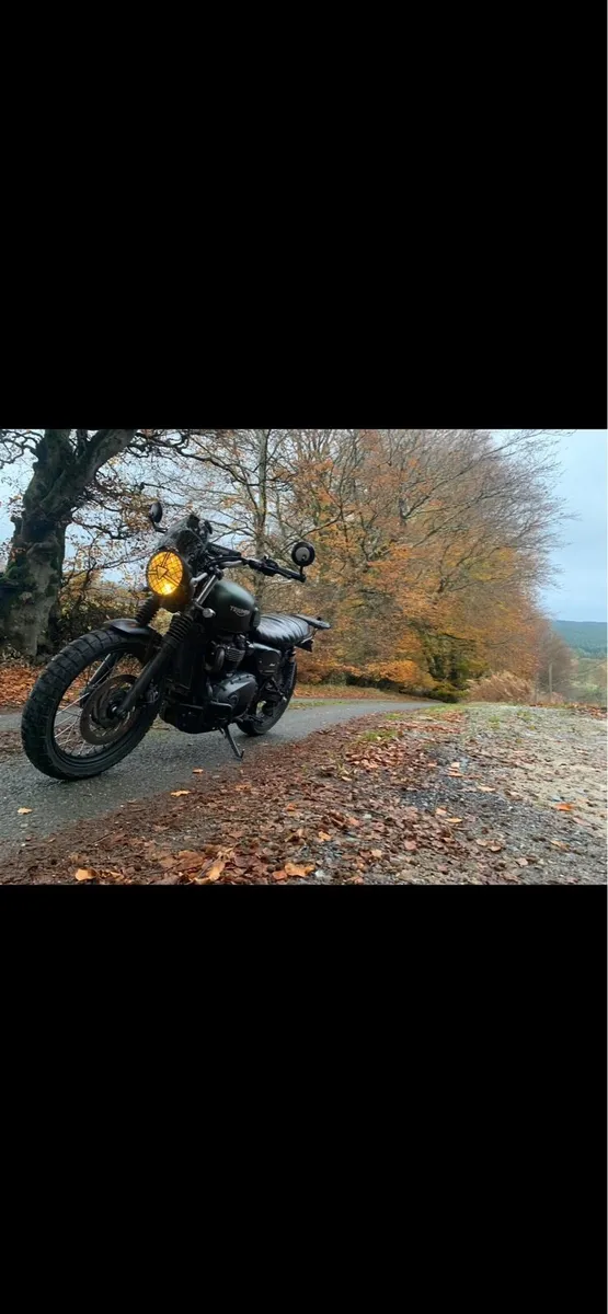 172 Triumph Street Scrambler 900 | Decat | K&N - Image 3