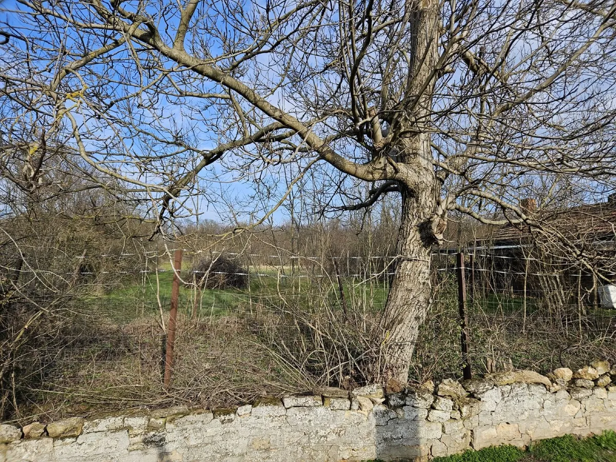 Property in Dobrich, Bulgaria - Image 3