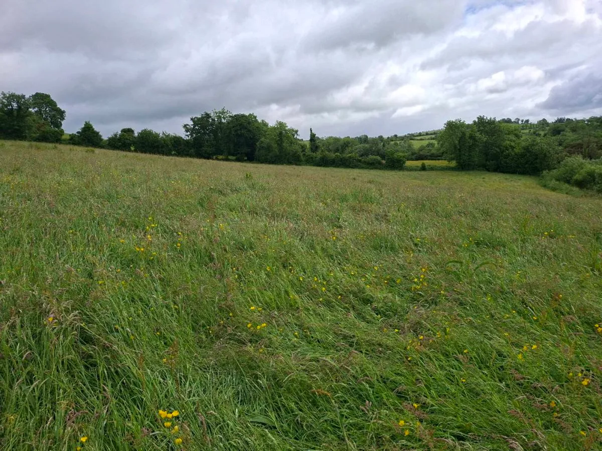 6 Acres Grass For Sale - Redhills/Ballyhaise Cavan