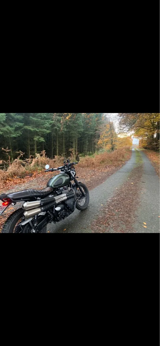 172 Triumph Street Scrambler 900 | Decat | K&N - Image 1