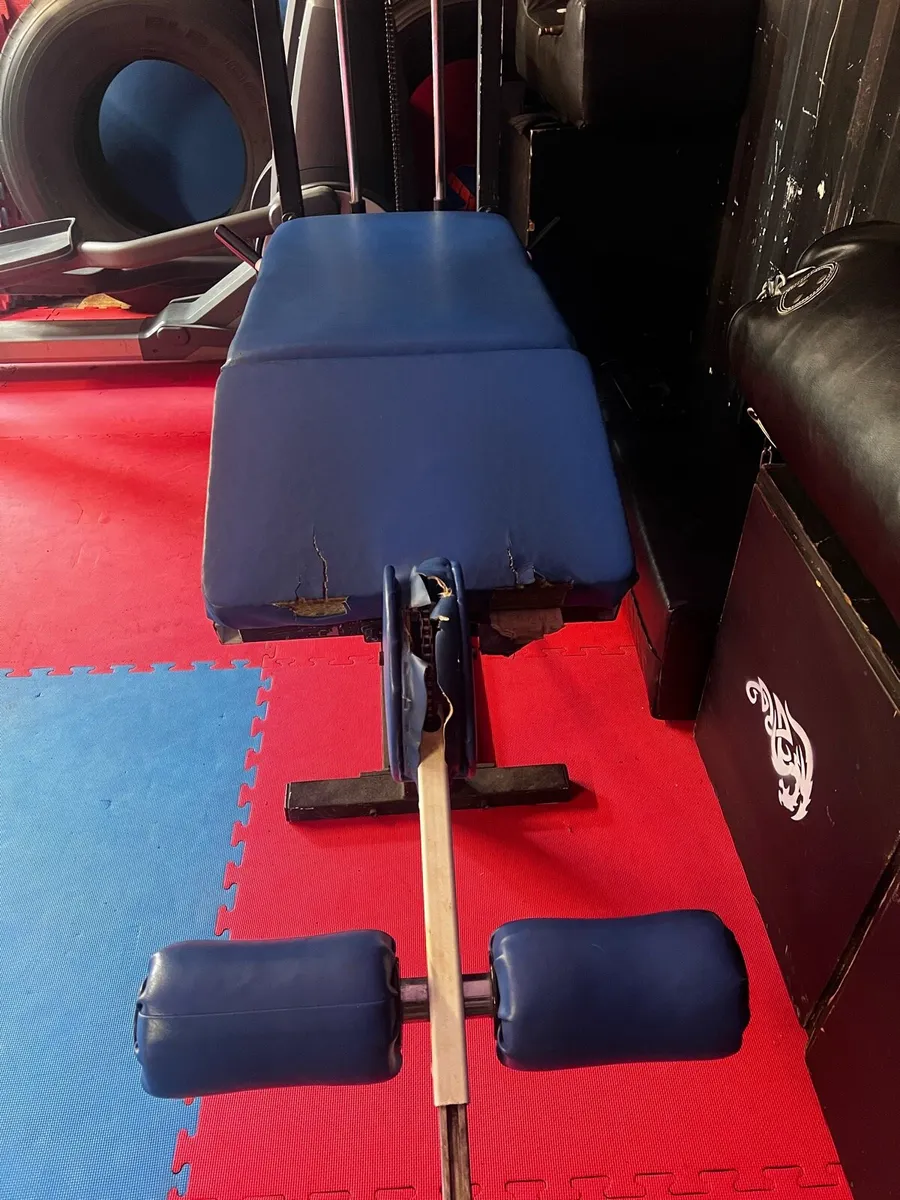 Leg curl - Image 3
