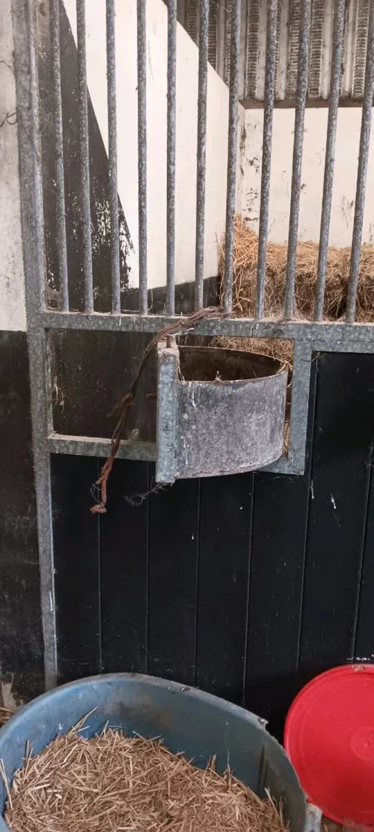 Stable fronts - Image 2