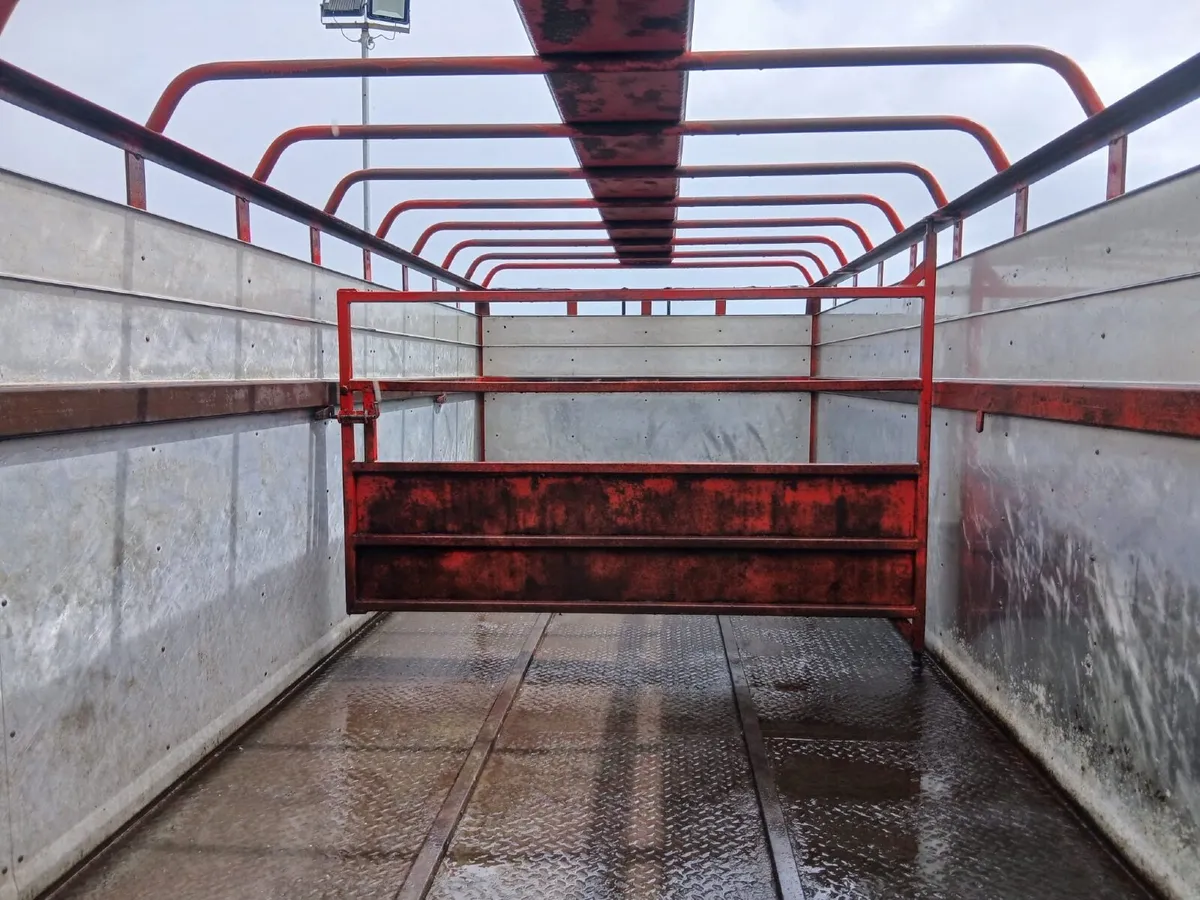 Cattle trailer - Image 3