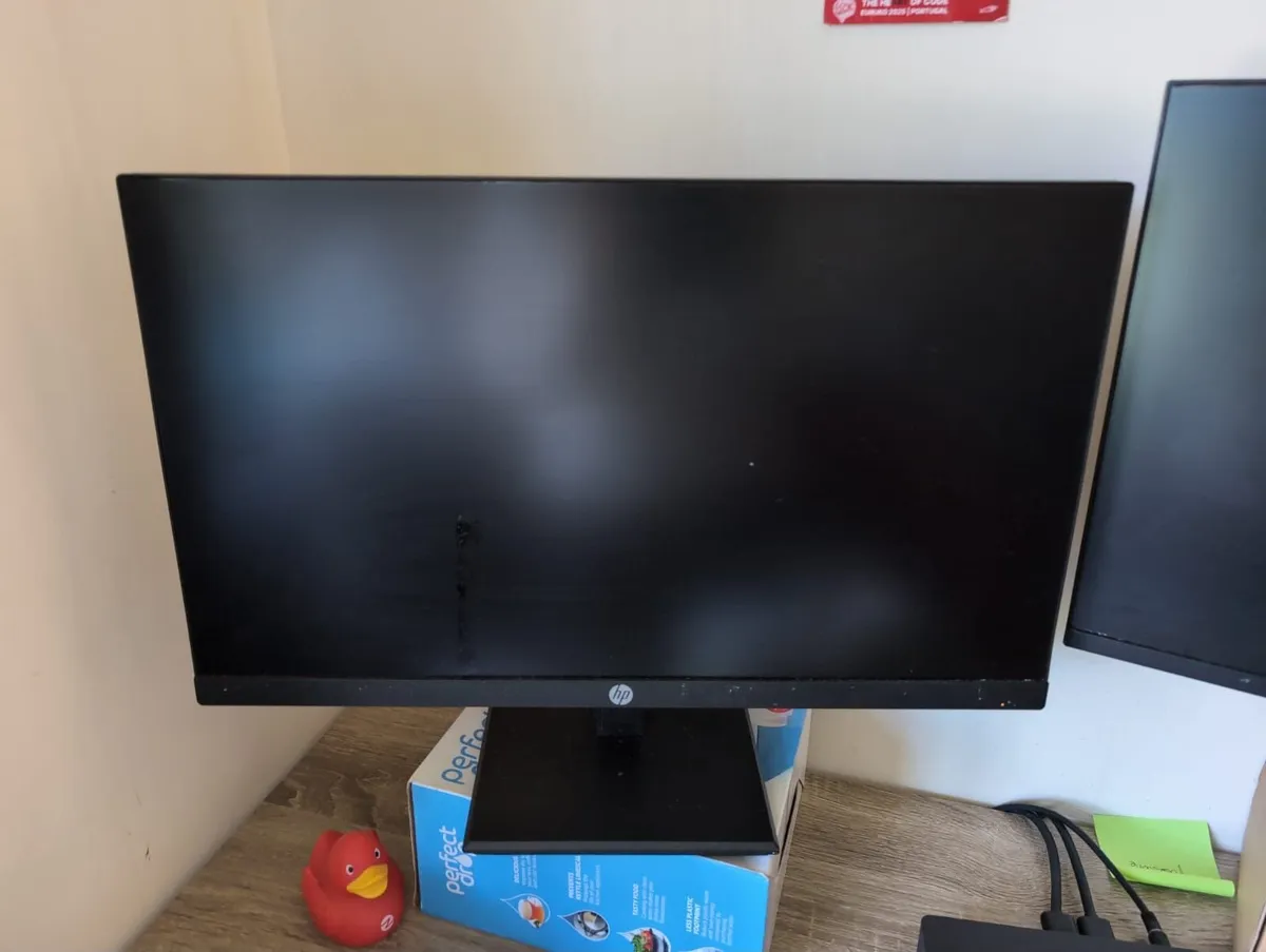 HP P224 Monitor