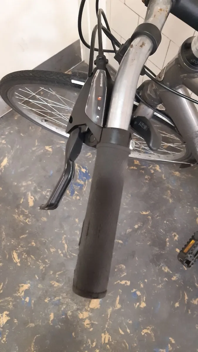 Giant Push Bike - Image 2