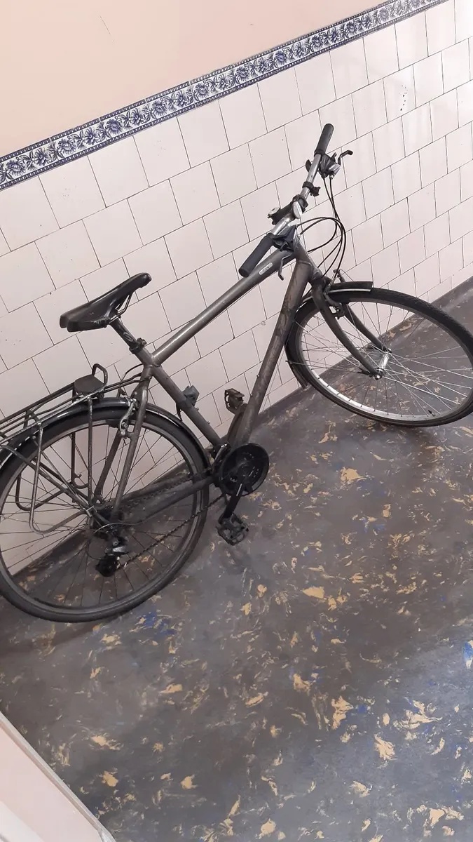 Giant Push Bike - Image 3