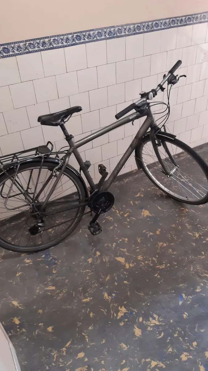 Giant Push Bike - Image 1