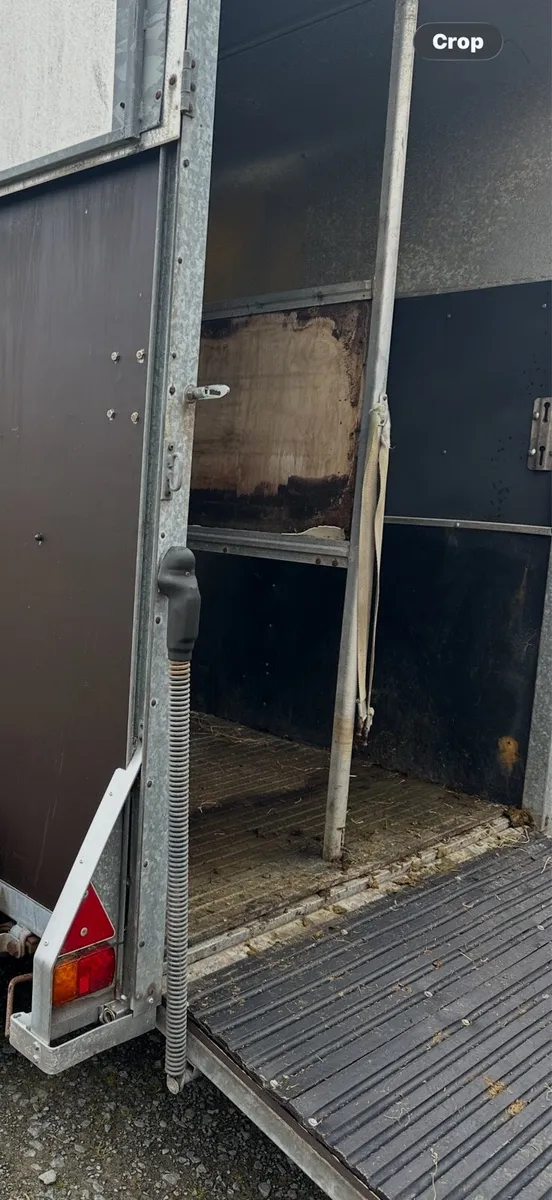 Horse trailer - Image 3