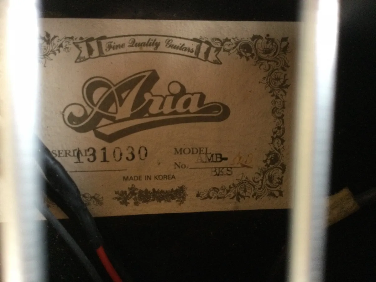 Aria AMB-50B Acoustic Bass - Image 1