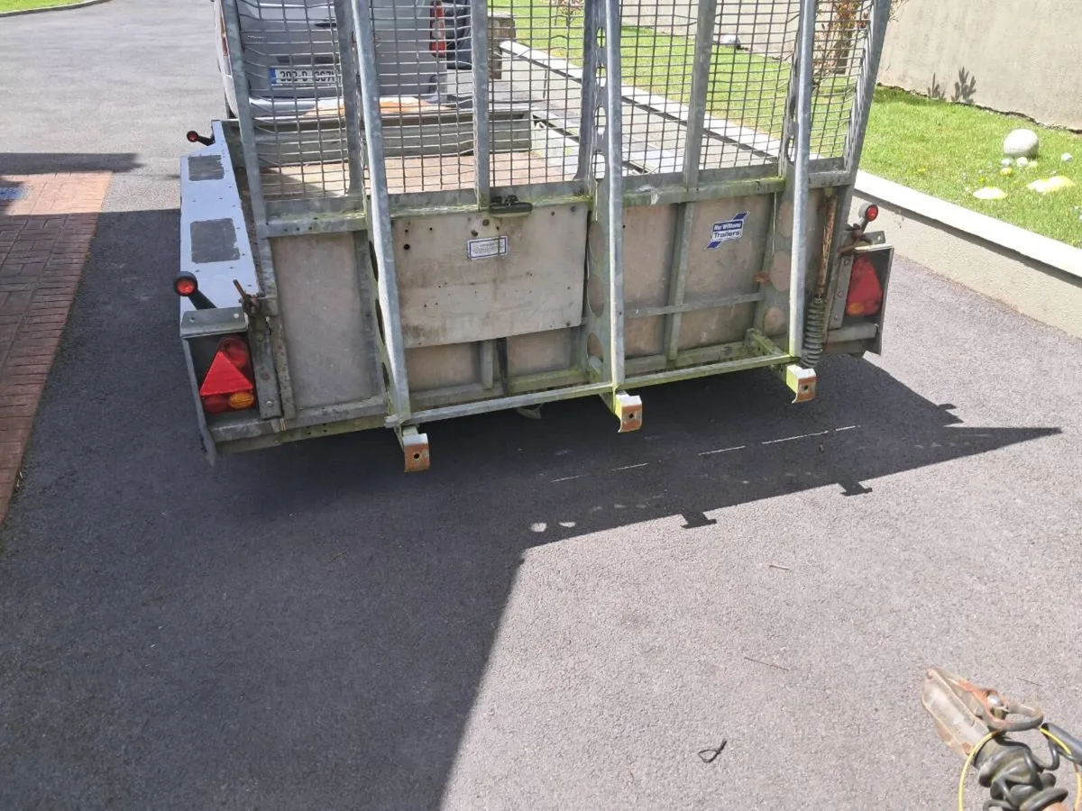 10 x 6 plant trailer - Image 1
