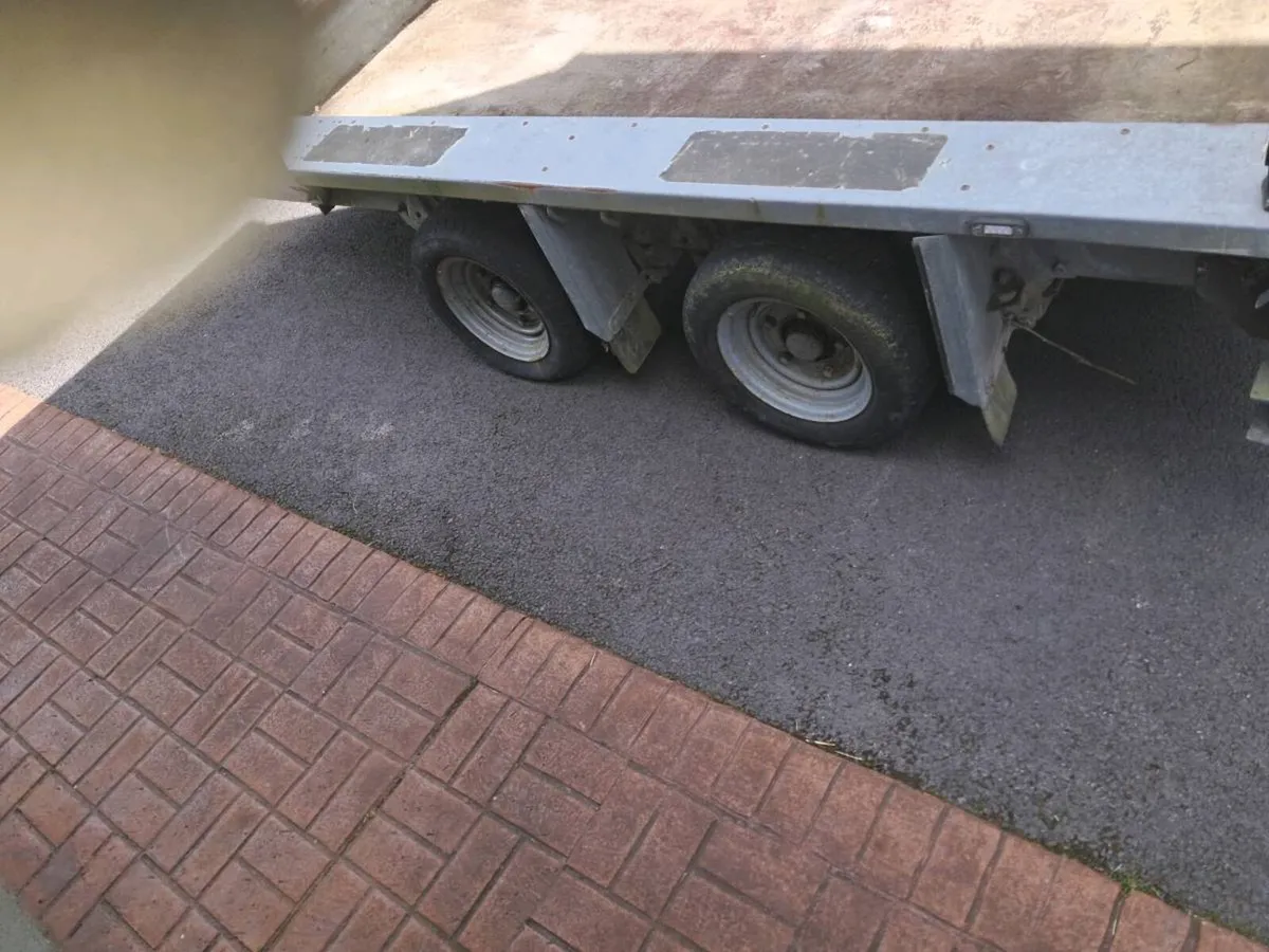10 x 6 plant trailer - Image 3