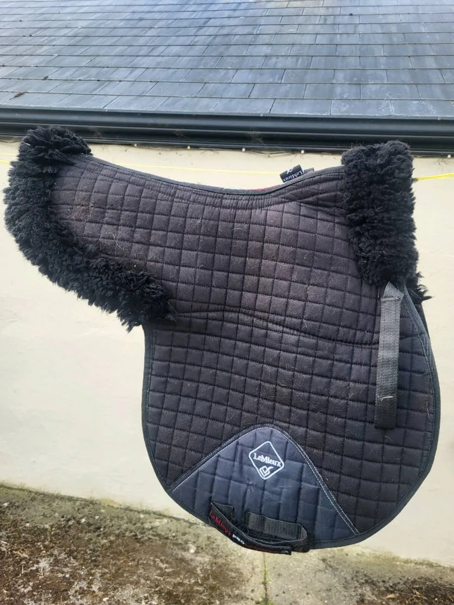 Fenwick LT Soundproof Ears & Le Mieux Numnah - Image 4