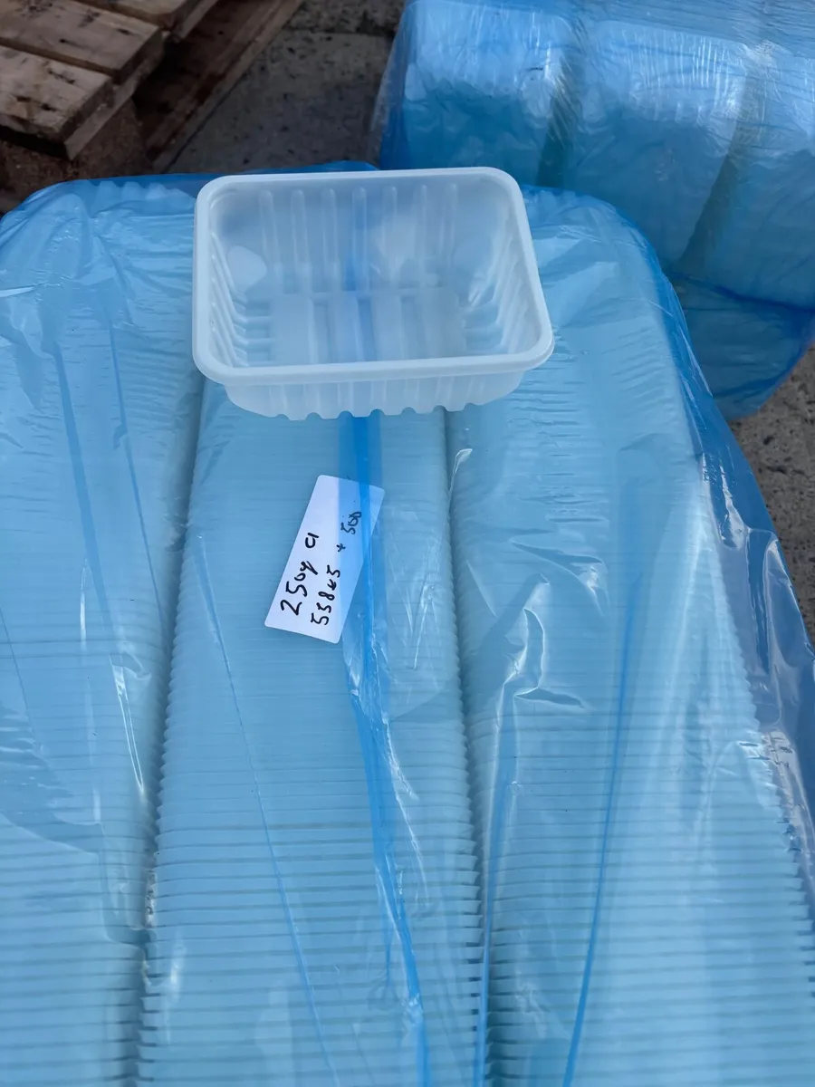 Plastic punnets - Image 1