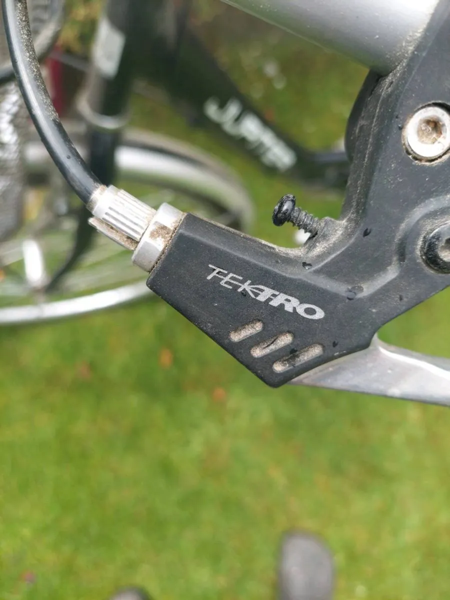 Ladies bike - Image 2