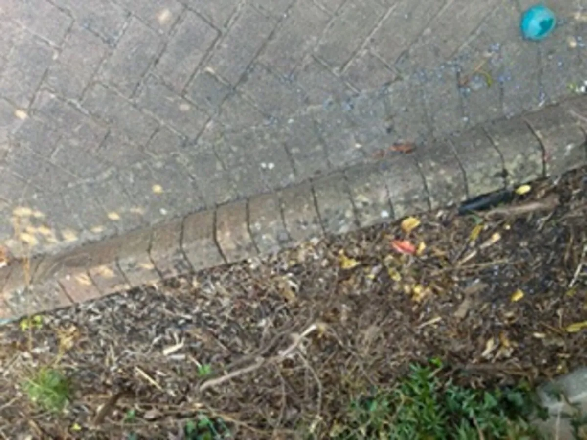 Cobble driveway - Image 4