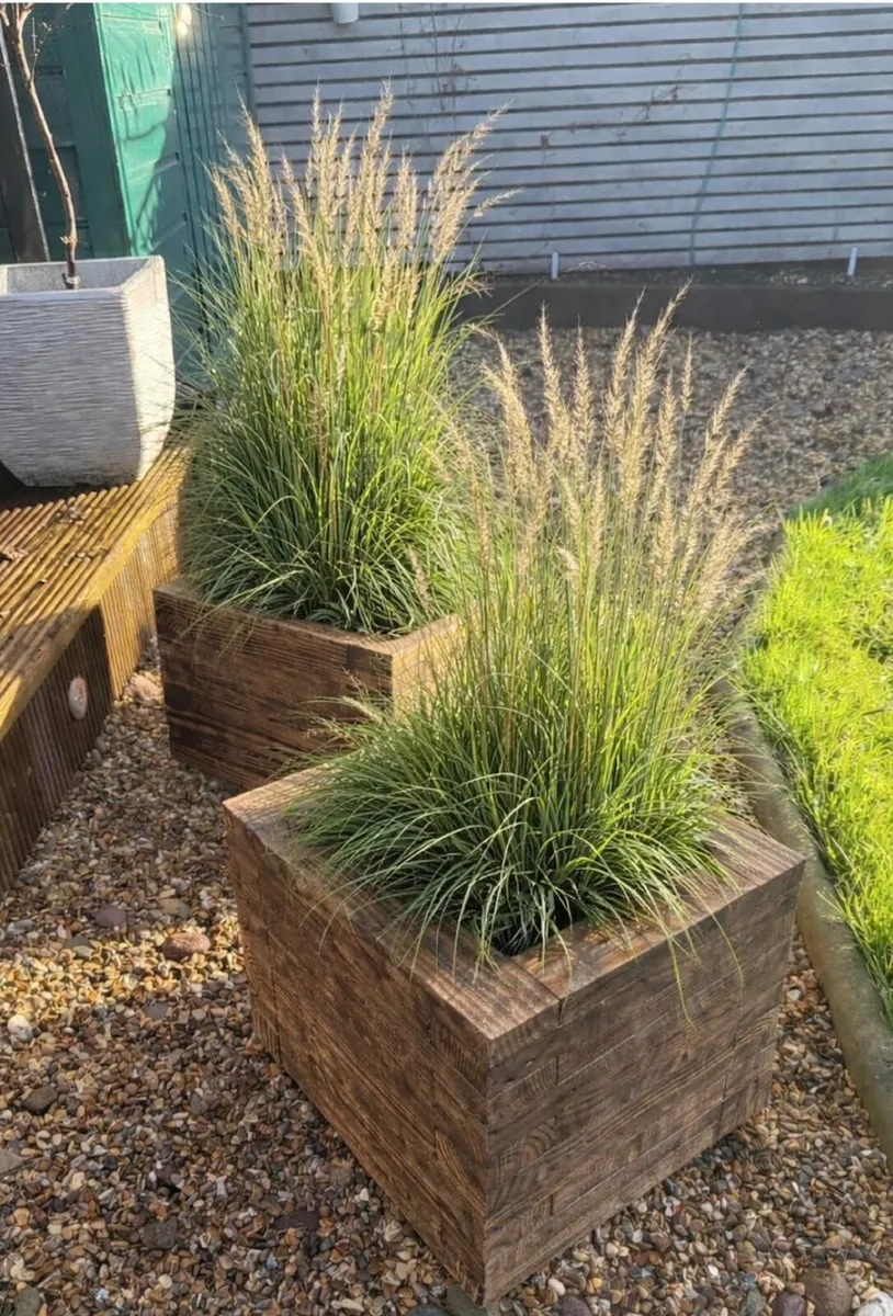 Planters/Flower box - Image 2