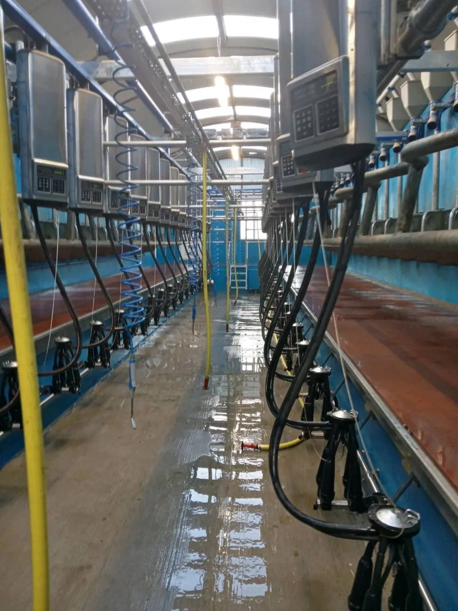 Milking Parlour - Image 4