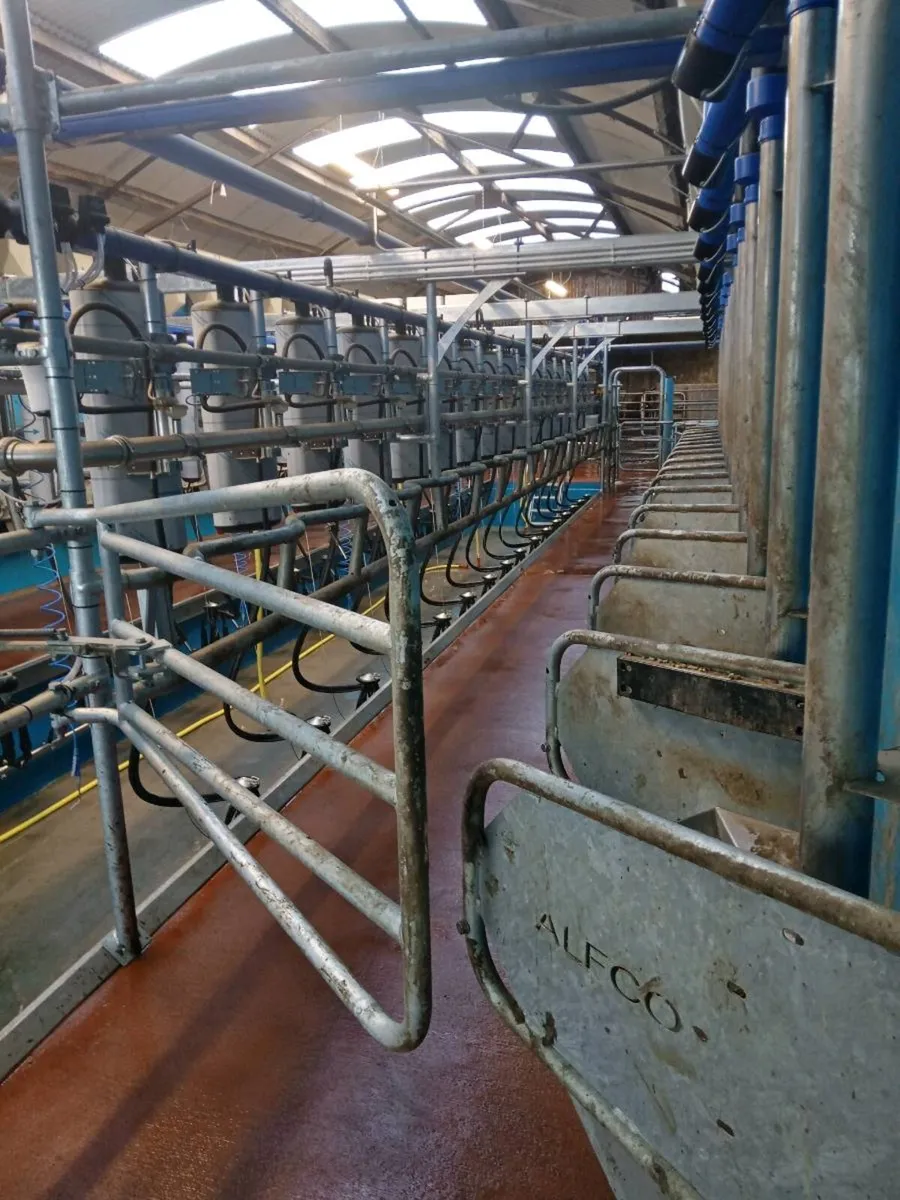 Milking Parlour - Image 2