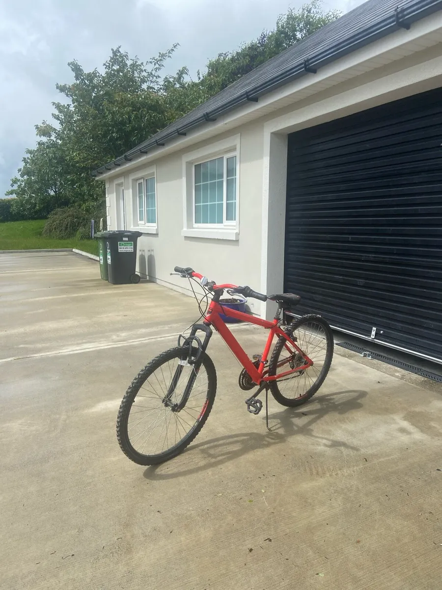 Bike - Image 1