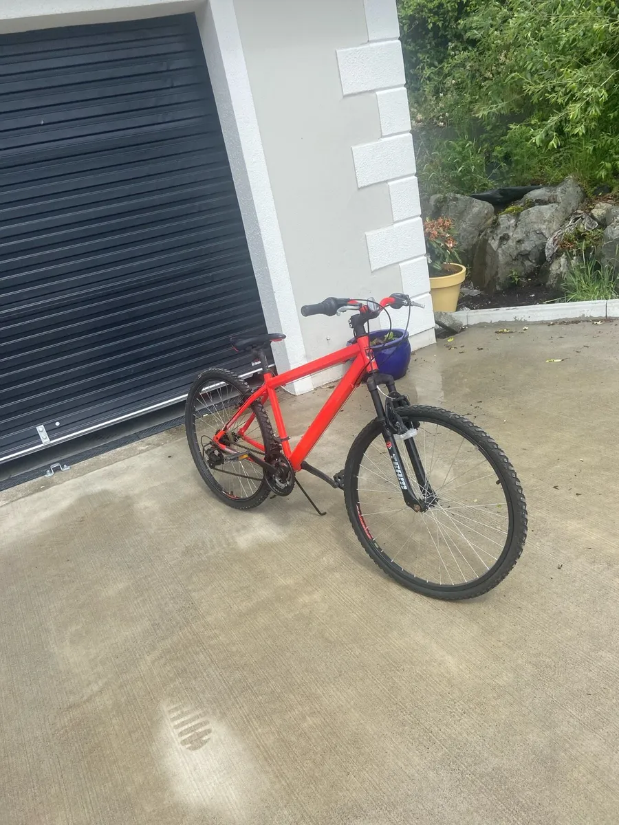 Bike - Image 2