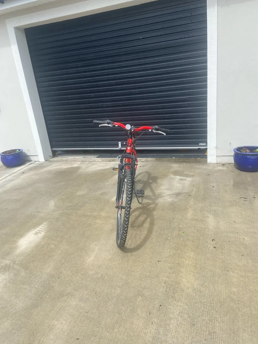 Bike - Image 4