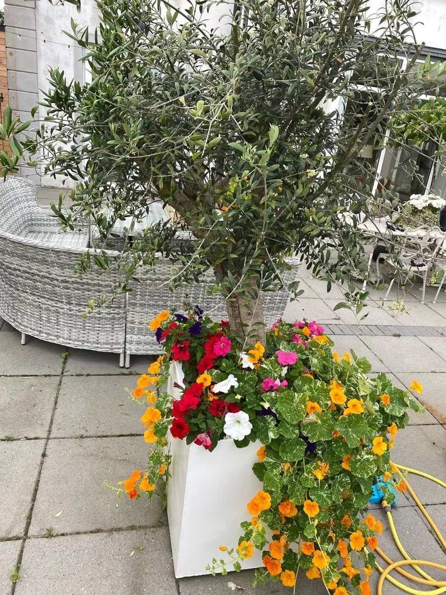 Metal planter - Image 1