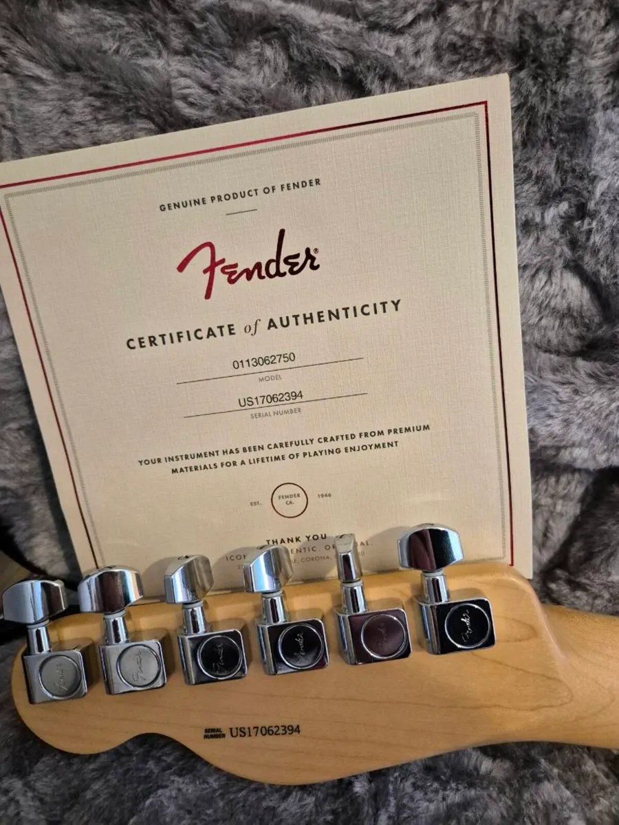 Fender American Professional Telecaster - Image 4