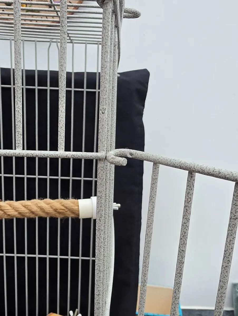 Parrot Travel Cage - Image 2