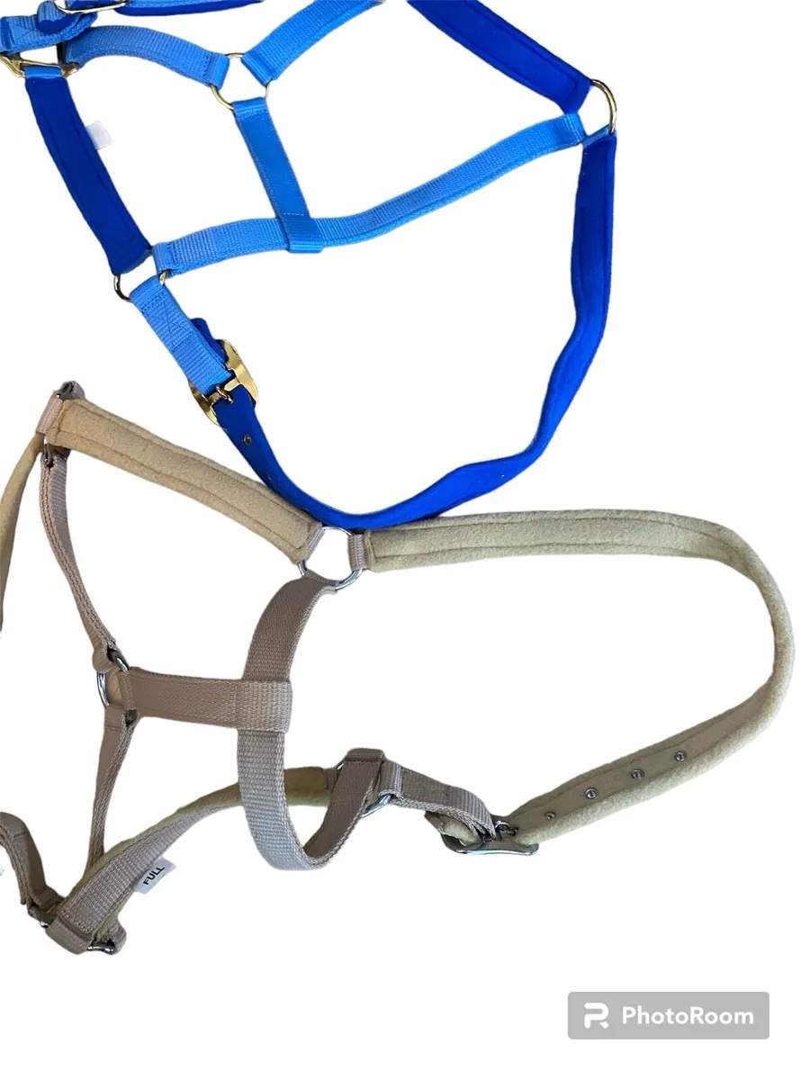 Nylon headcollar - Image 4