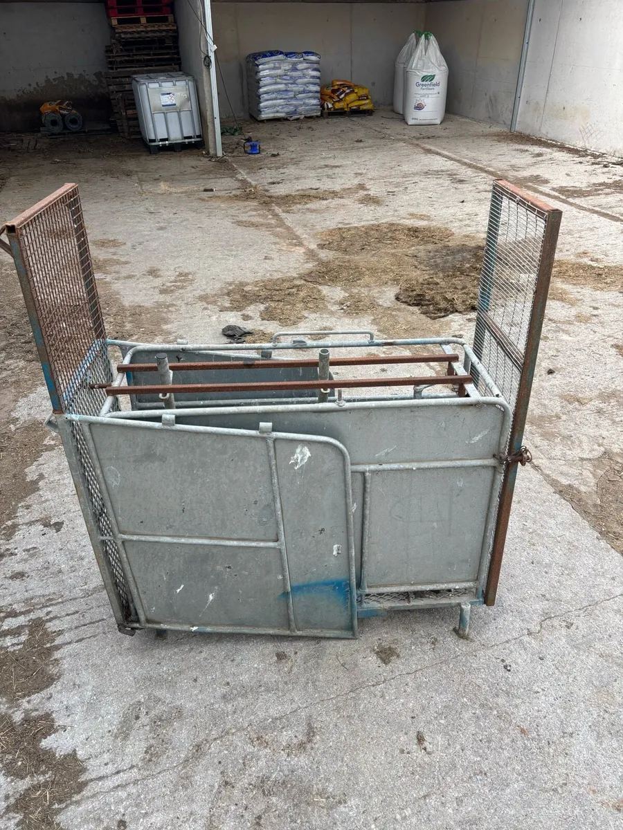 Sheep scanning crate - Image 2