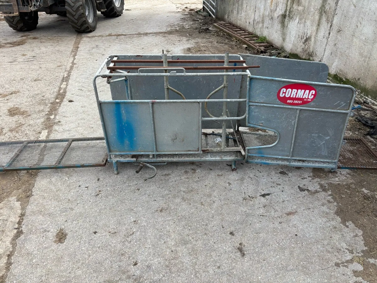 Sheep scanning crate - Image 3