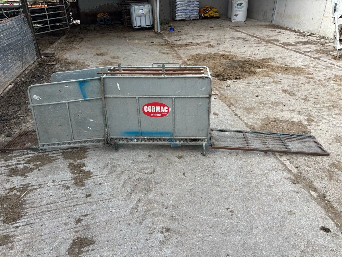 Sheep scanning crate - Image 4