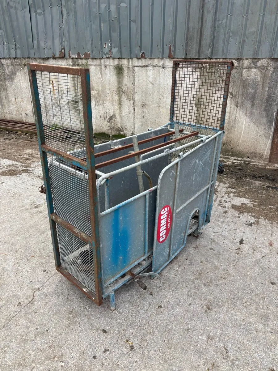 Sheep scanning crate - Image 1