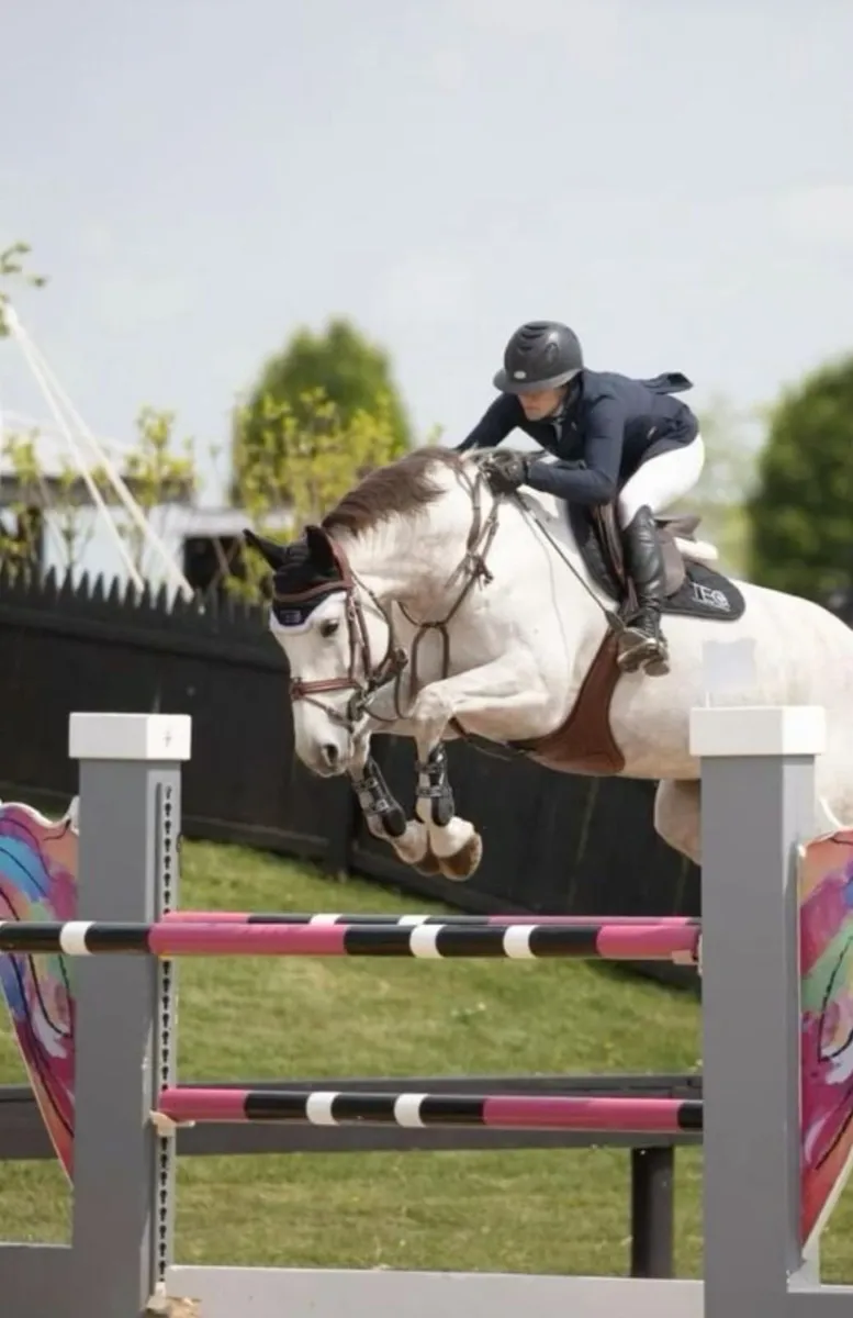 Freelance Equestrian Coach - Image 4