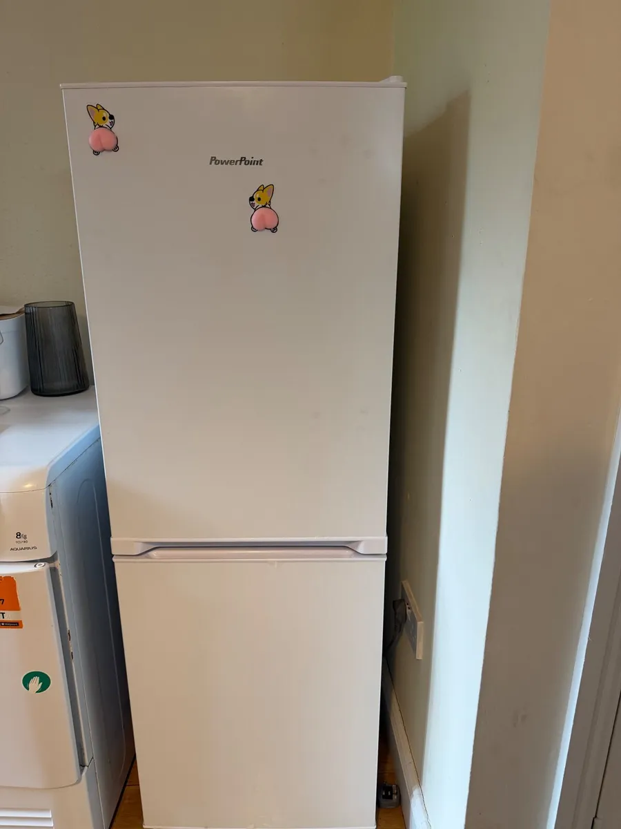 PowerPoint Fridge Freezer - Image 1