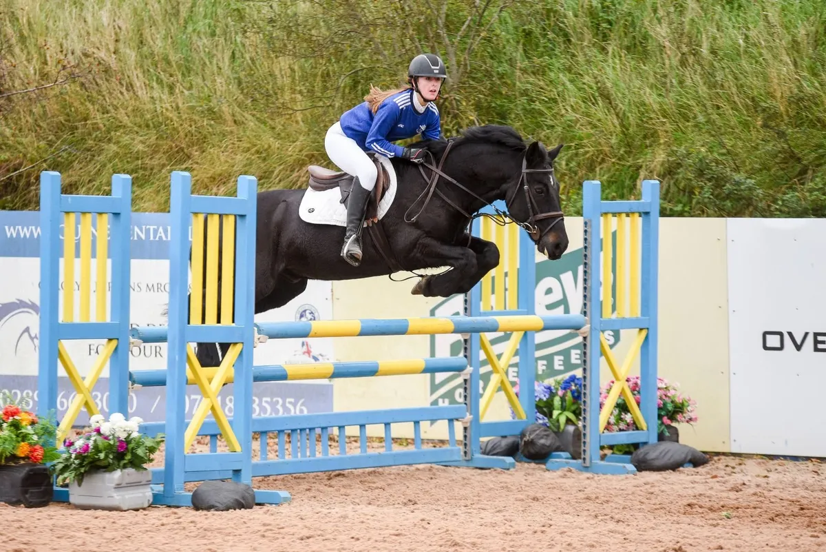 All rounder 143cm Pony - Image 3