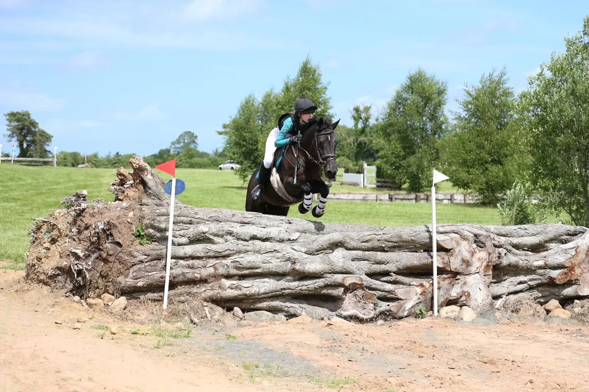 All rounder 143cm Pony - Image 4