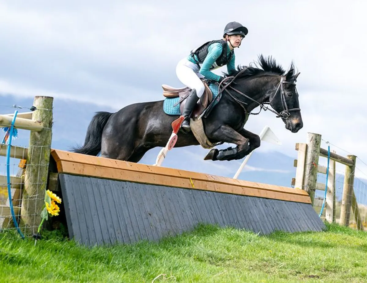 All rounder 143cm Pony - Image 1