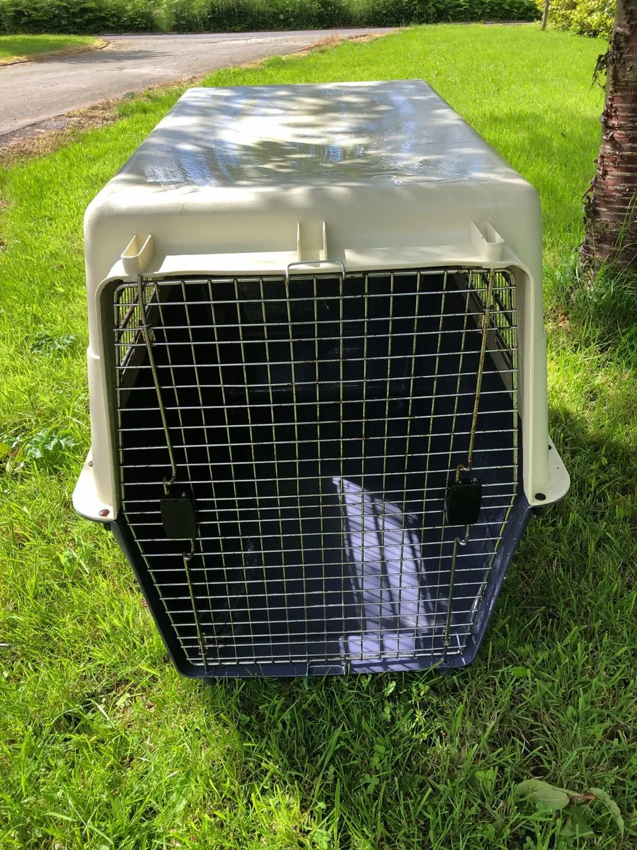 Dog crate - Image 2