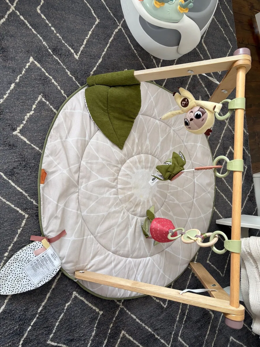 Baby play gym and mat - Image 1