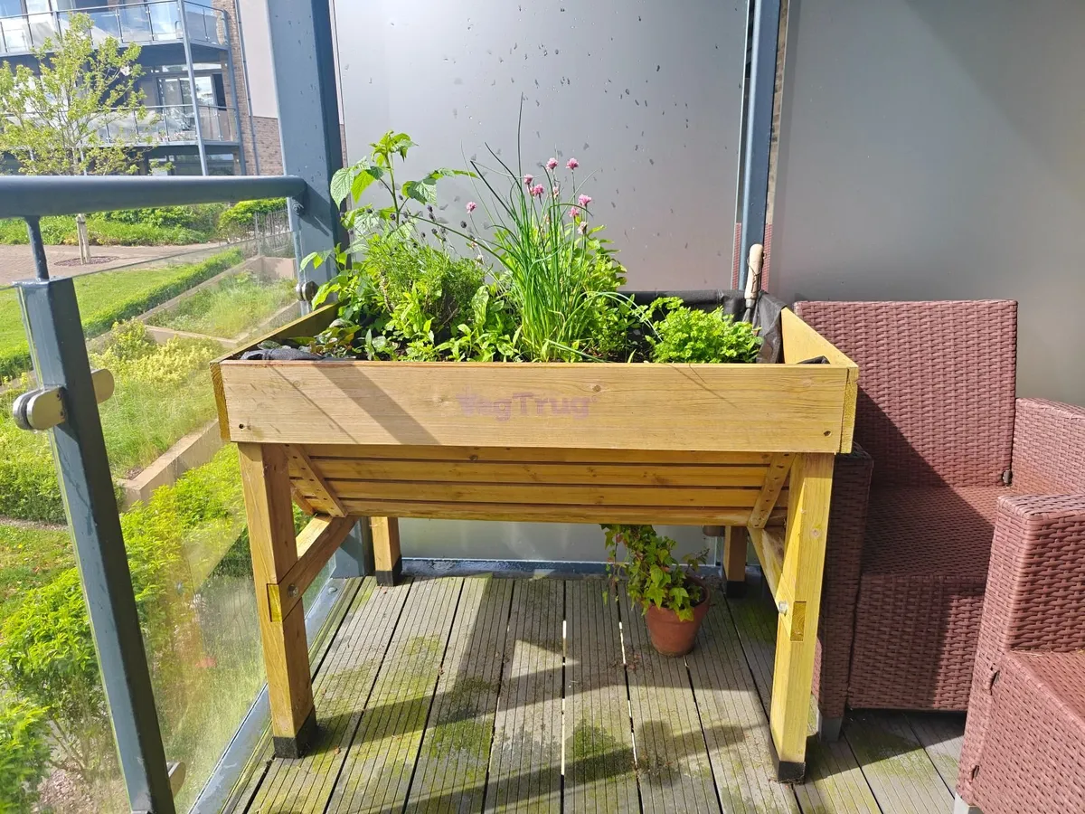 VegTrug - Image 1