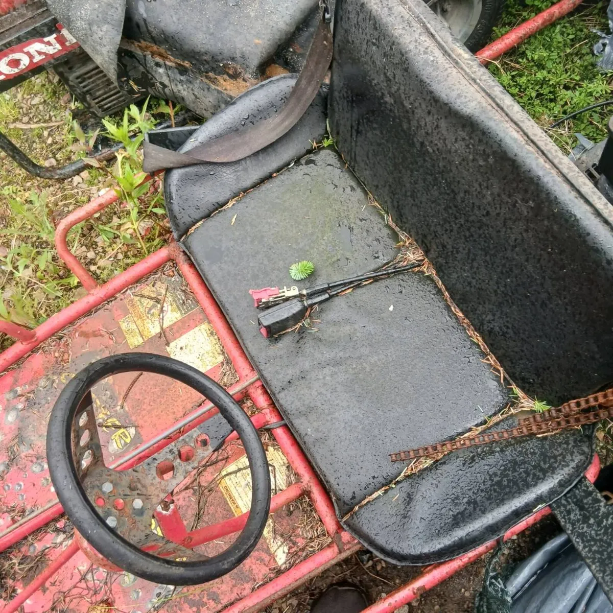 Buggy - Image 3