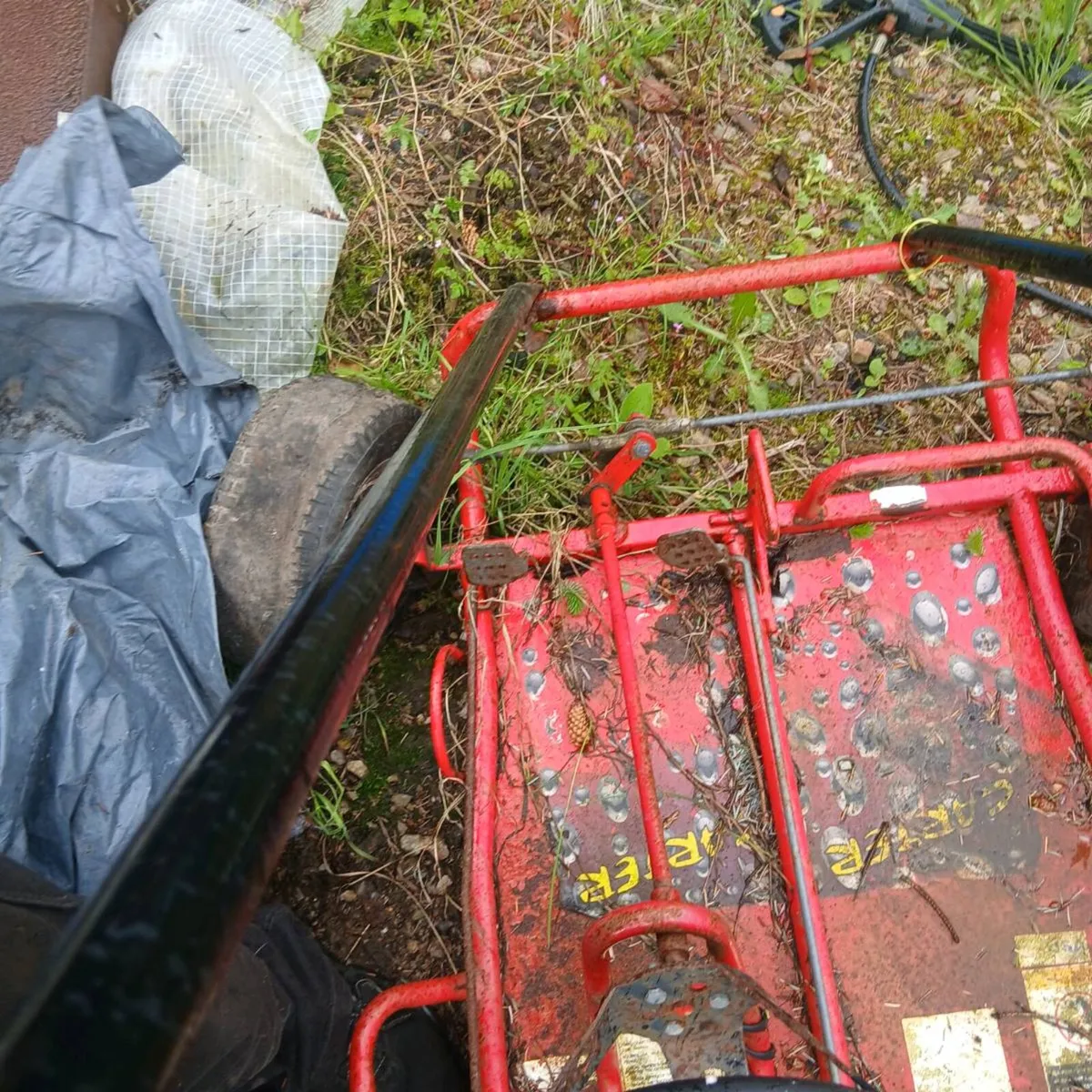 Buggy - Image 4