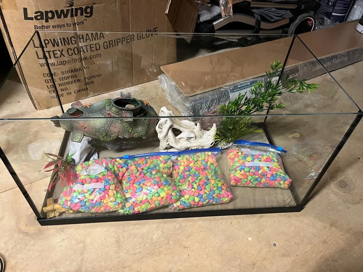Fish Tank - 54L and tank accessories - Image 1