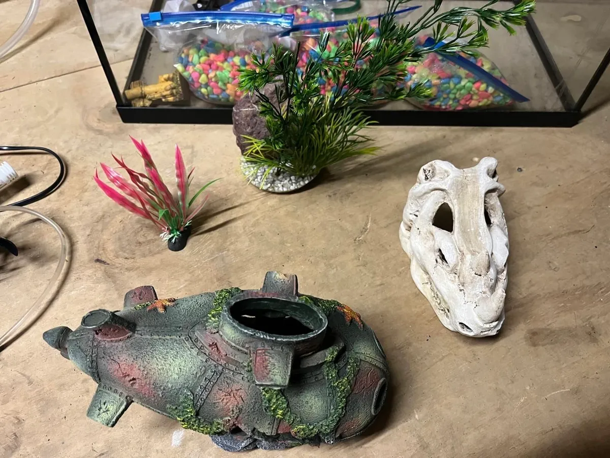Fish Tank - 54L and tank accessories - Image 3