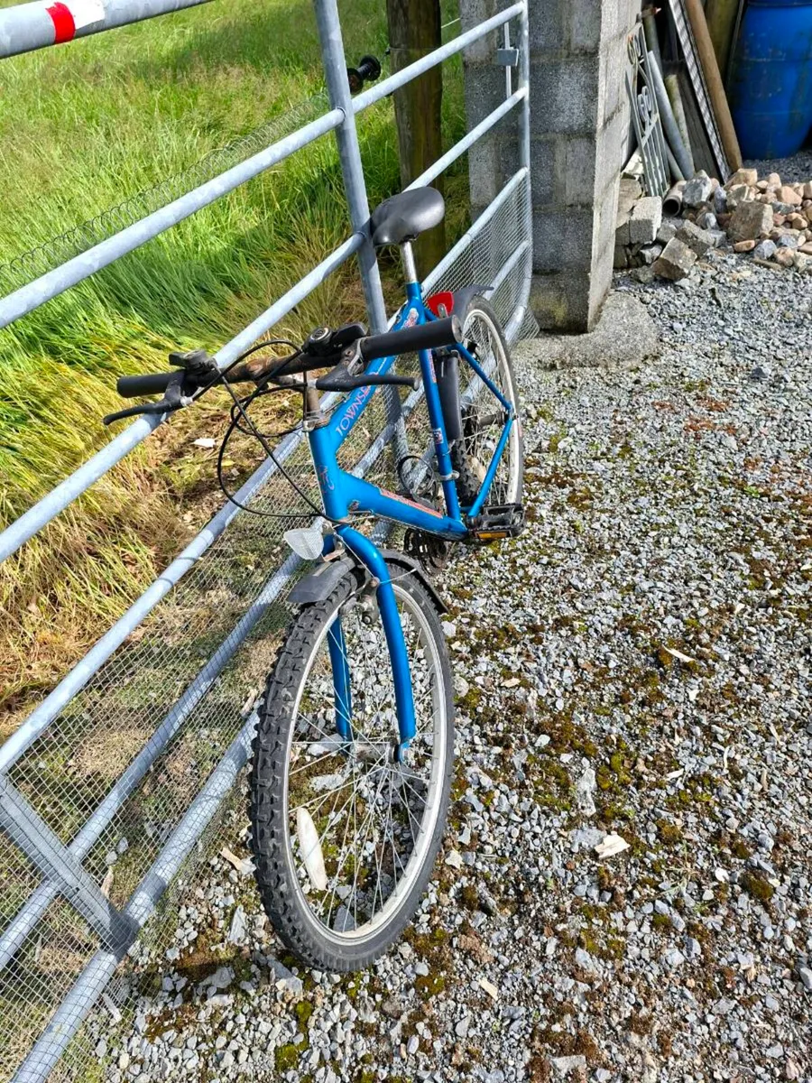 Bike - Image 3